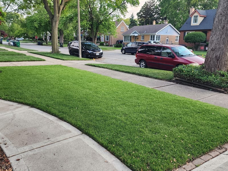 Lawn Care